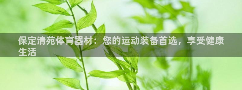 星欧娱乐公司创始人背景故事介绍：保定清苑体育器材：您