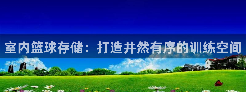 星欧娱乐联最新功能介绍：室内篮球存储：打造井然有序的