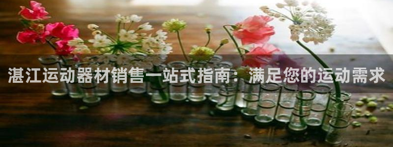 星澳娱乐公司怎么样：湛江运动器材销售一站式指南：满足